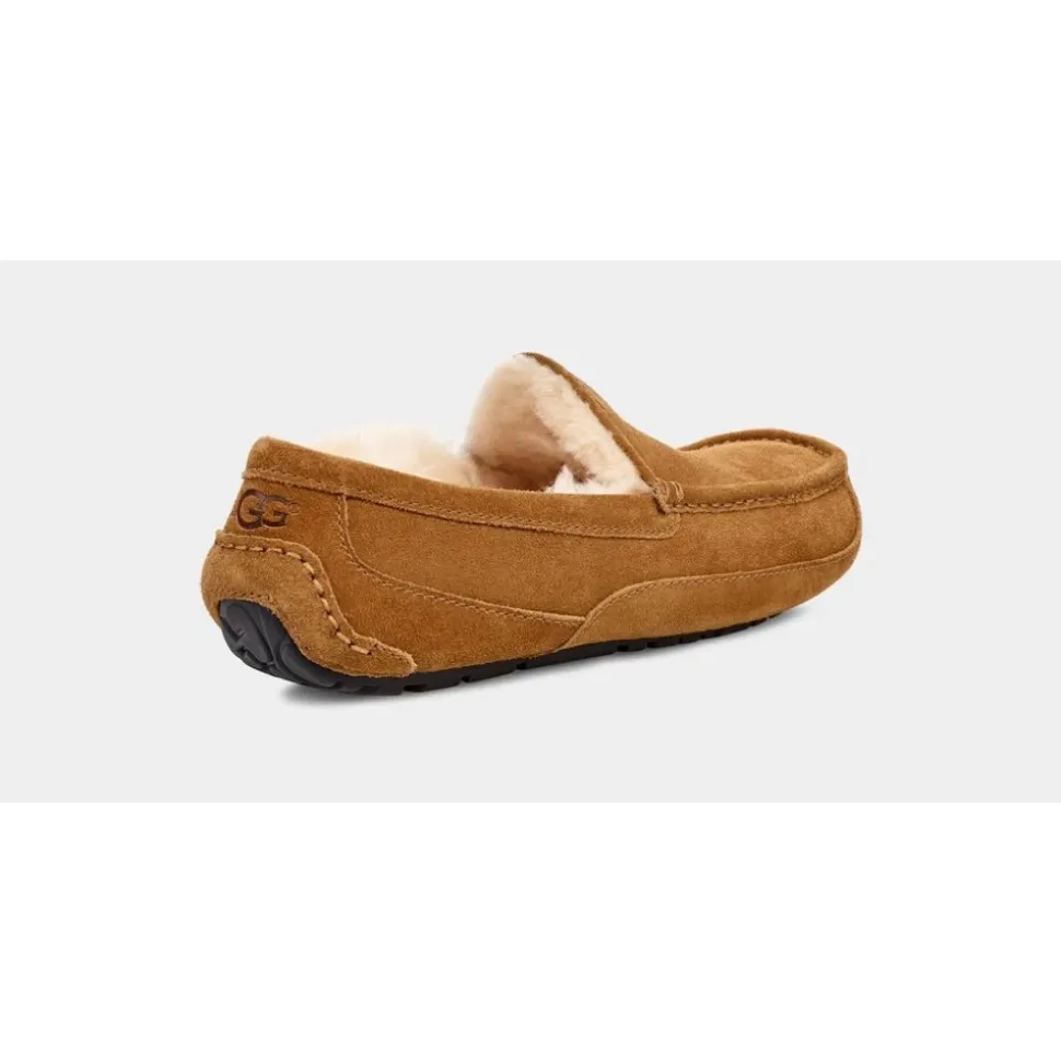 Ascot Slipper Chestnut