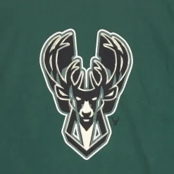Boston Celtics Logo Tee