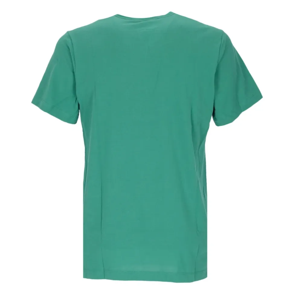 Boston Celtics Logo T-shirt