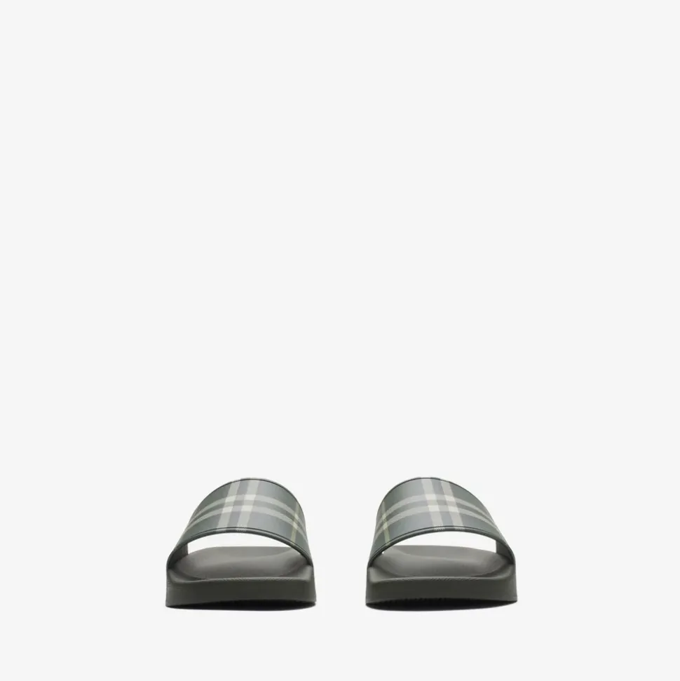 Check Slides