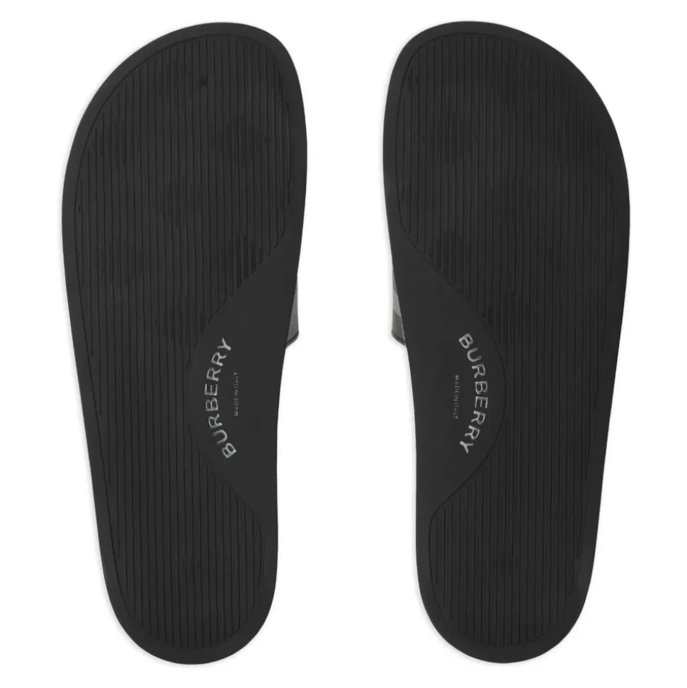 Check Slides
