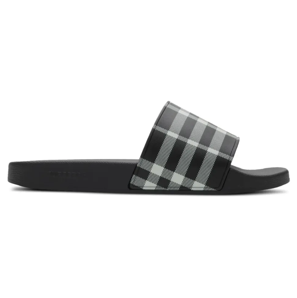 Check Slides