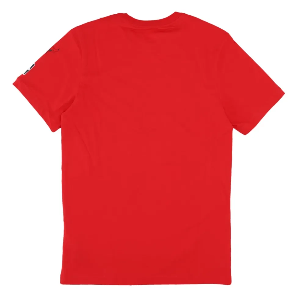 Chicago Bulls Tee Celebration