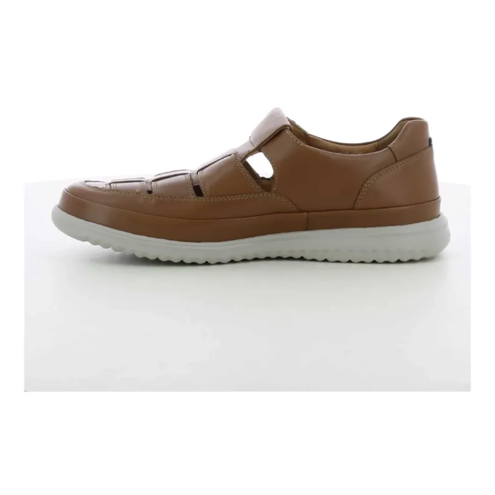 Cognac TAREK Z25 Herenschoenen