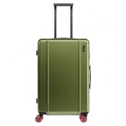 Floyd, Check-in Koffer, vegas green