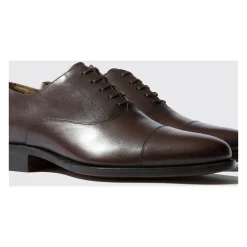Giove Marrone Oxfords