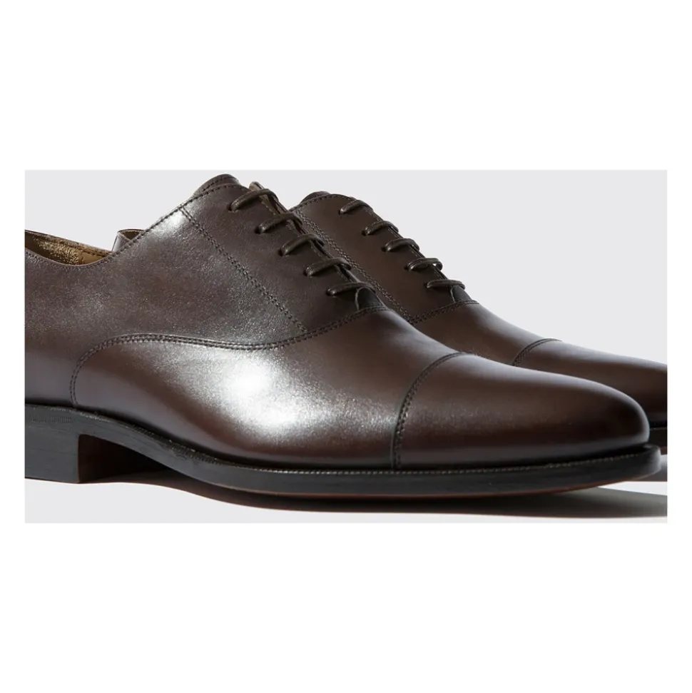 Giove Marrone Oxfords