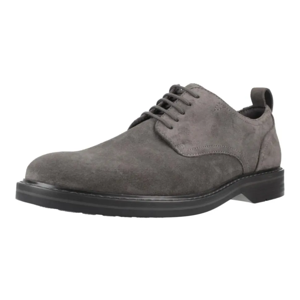 Klassieke Aldwin Lace Suède Schoenen