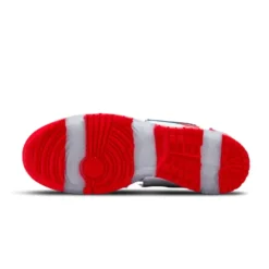 Kleurrijke Ebay Dunk Low OG Skate Schoenen