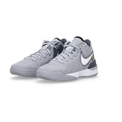 Lebron Nxxt Gen Basketbalschoen