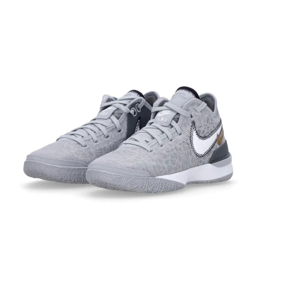 Lebron Nxxt Gen Basketbalschoen