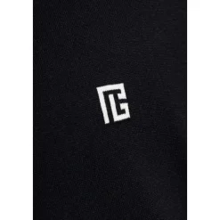 Logo Polo
