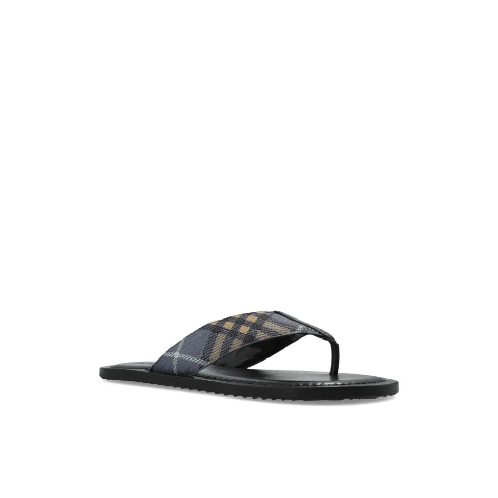 Pavilion Slides