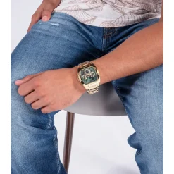 Phoenix Watch