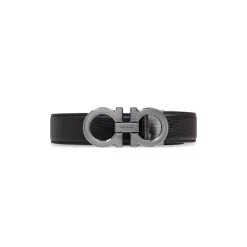 Reversibele Riem