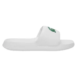 Serve Slide 1.0