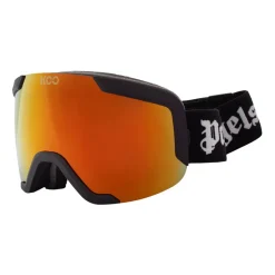 Ski Goggles