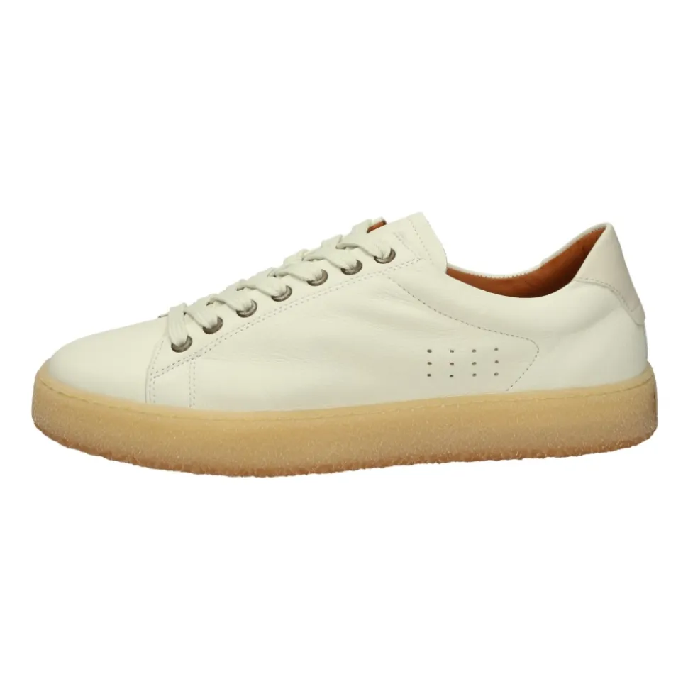 Sneakers Basse