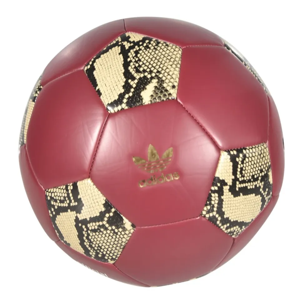 Sport Accessories
