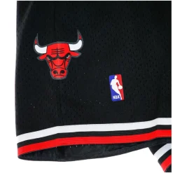 Swingman Short Hardwood Classics 1997-98