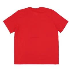 Toronto Raptors Logo Tee