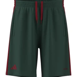 Training Shorts