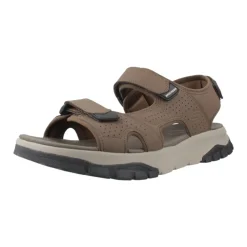 Wagner Avalon